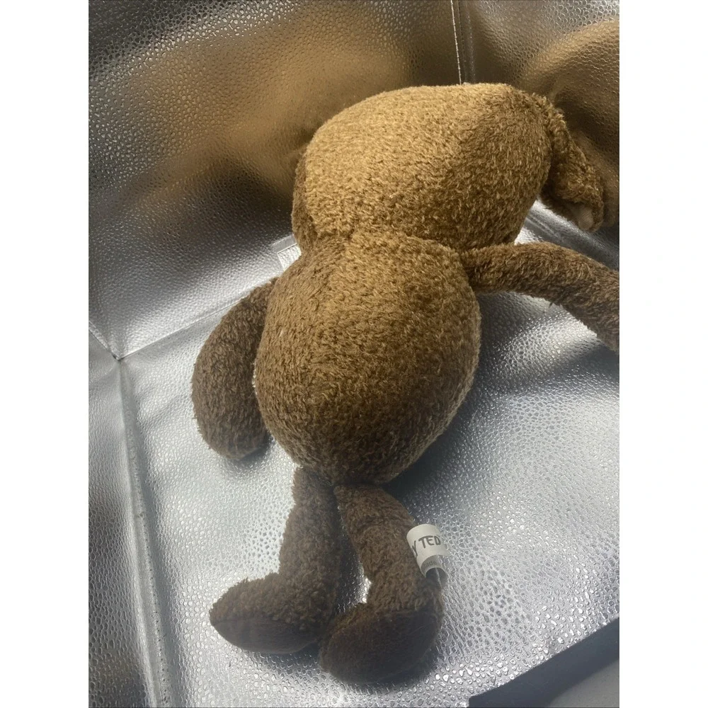 Ugly Ted Teddy Bear